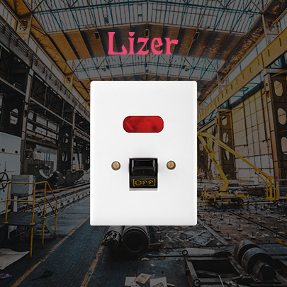 LIZER